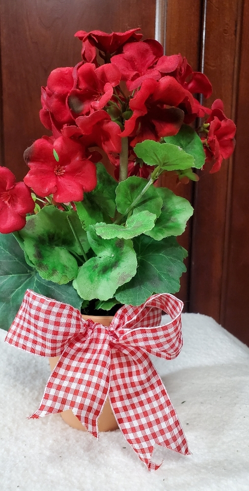 Flowers in Clay Pot